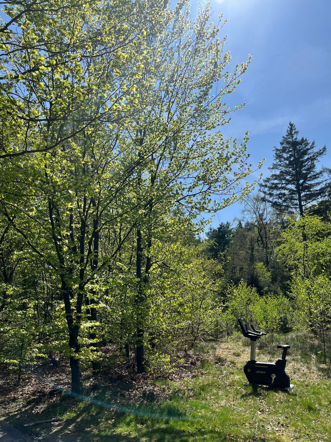 Gereviseerde fitness apparatuur: 7 voordelen voor thuis en sportschool - De Fitness Generatie